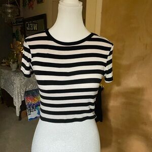 Zara Black and White Striped Crop Top